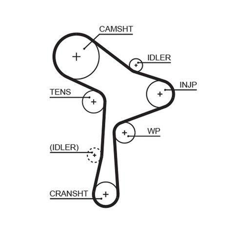 Timing belt kit - belt,