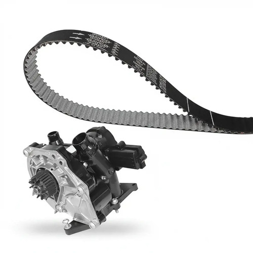 Timing belt kit water - belt, +